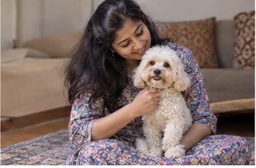 A woman pets a small white dog beside a sofa.