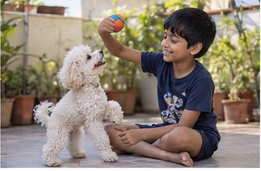 Illustration of people spending time with a Miniature Poodle at home or outdoors