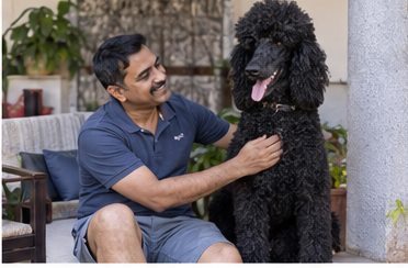Illustration of people spending time with a Standard Poodle at home or outdoors