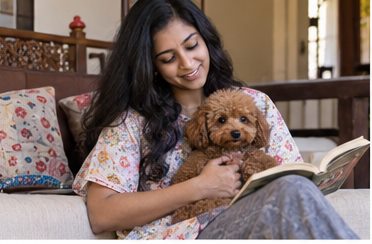 Illustration of people spending time with a Toy Poodle at home or outdoors