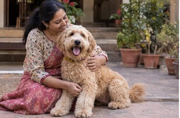 Illustration of people spending time with a Goldendoodle at home or outdoors