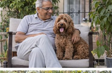 Illustration of people spending time with a Cockapoo at home or outdoors