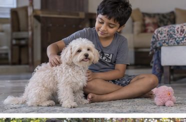 A child sits on the floor beside a small white dog.