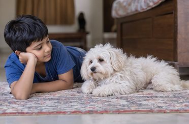 A child rests on the floor beside a small dog on a rug.