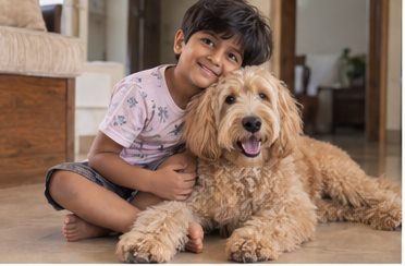 Illustration of people spending time with a Goldendoodle at home or outdoors