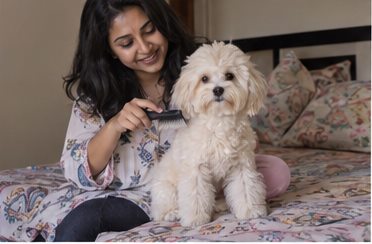 A woman strokes a small white dog seated on a sofa.