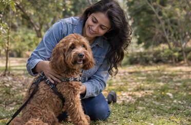 Illustration of people spending time with a Cockapoo at home or outdoors