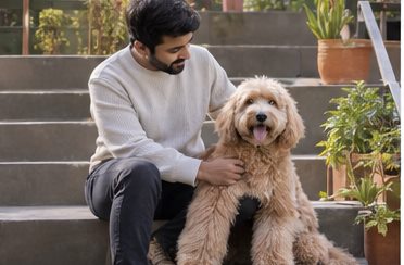 Illustration of people spending time with a Goldendoodle at home or outdoors