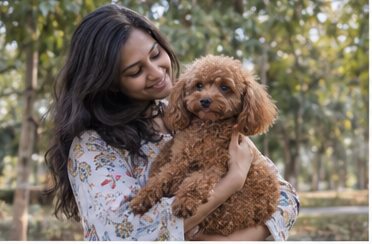 Illustration of people spending time with a Toy Poodle at home or outdoors