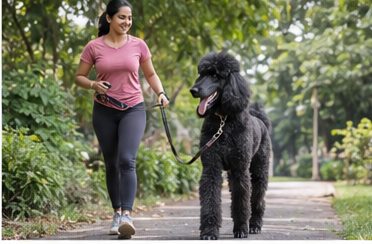 Illustration of people spending time with a Standard Poodle at home or outdoors