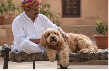 Illustration of people spending time with a Goldendoodle at home or outdoors