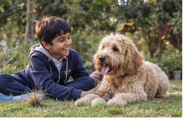 Illustration of people spending time with a Goldendoodle at home or outdoors