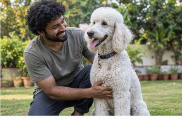 Illustration of people spending time with a Standard Poodle at home or outdoors