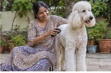 Illustration of people spending time with a Standard Poodle at home or outdoors