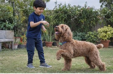 Illustration of people spending time with a Cockapoo at home or outdoors
