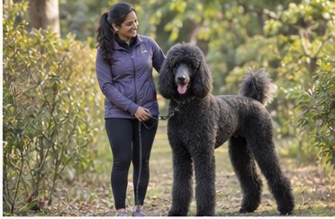 Illustration of people spending time with a Giant Poodle at home or outdoors