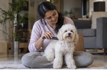 A woman sits on the floor and brushes a small white dog.