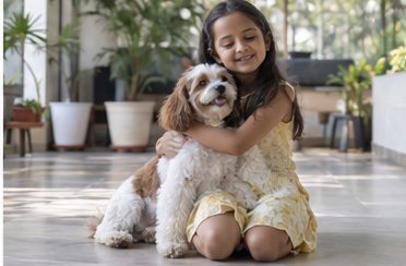 Young girl sitting beside and holding a small brown-and-white dog indoors