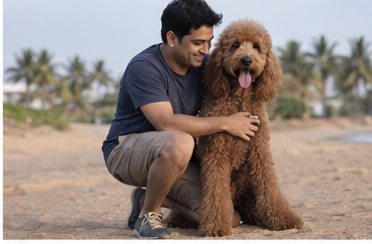 Illustration of people spending time with a Giant Poodle at home or outdoors