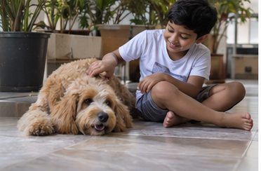 Illustration of people spending time with a Goldendoodle at home or outdoors