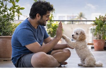 Illustration of people spending time with a Miniature Poodle at home or outdoors