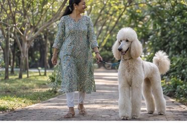 Illustration of people spending time with a Standard Poodle at home or outdoors
