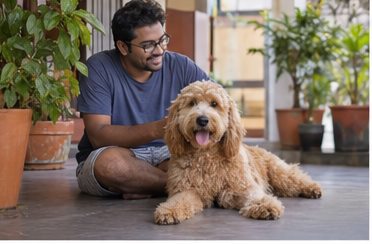 Illustration of people spending time with a Goldendoodle at home or outdoors