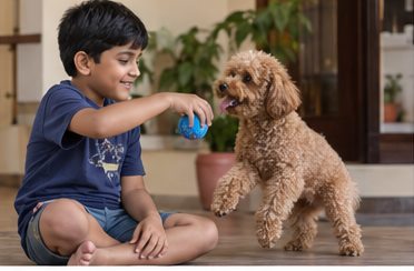 Illustration of people spending time with a Miniature Poodle at home or outdoors