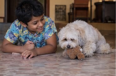 A child lies on the floor beside a small dog.