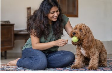 Illustration of people spending time with a Cockapoo at home or outdoors