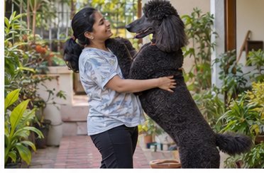 Illustration of people spending time with a Giant Poodle at home or outdoors