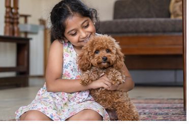 Illustration of people spending time with a Toy Poodle at home or outdoors