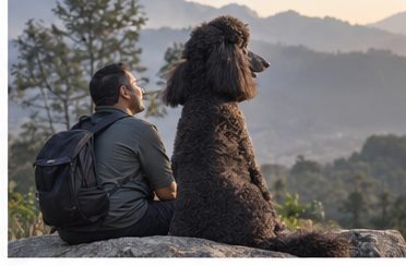 Illustration of people spending time with a Giant Poodle at home or outdoors