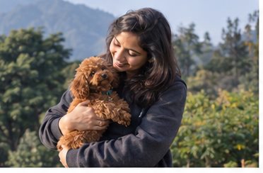 Illustration of people spending time with a Toy Poodle at home or outdoors