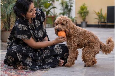 Illustration of people spending time with a Cockapoo at home or outdoors