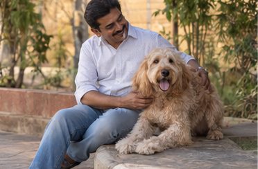 Illustration of people spending time with a Goldendoodle at home or outdoors