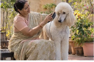 Illustration of people spending time with a Standard Poodle at home or outdoors