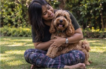 Illustration of people spending time with a Cockapoo at home or outdoors