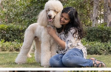 Illustration of people spending time with a Standard Poodle at home or outdoors