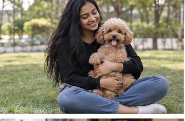 Illustration of people spending time with a Toy Poodle at home or outdoors