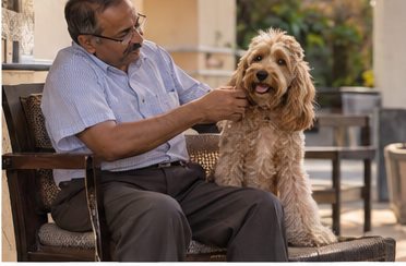 Illustration of people spending time with a Cockapoo at home or outdoors
