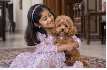 Illustration of people spending time with a Toy Poodle at home or outdoors