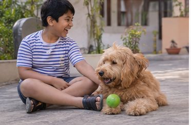 Illustration of people spending time with a Goldendoodle at home or outdoors