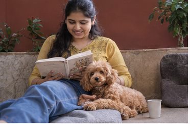Illustration of people spending time with a Toy Poodle at home or outdoors