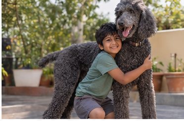 Illustration of people spending time with a Giant Poodle at home or outdoors
