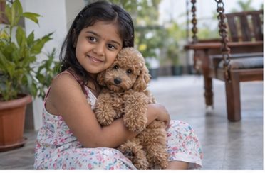Illustration of people spending time with a Toy Poodle at home or outdoors