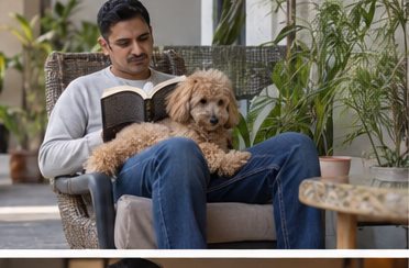 Illustration of people spending time with a Miniature Poodle at home or outdoors