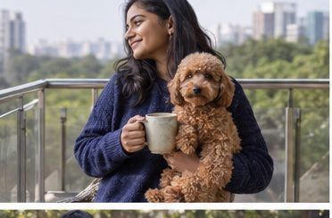 Illustration of people spending time with a Toy Poodle at home or outdoors