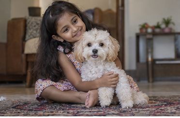 A child sits on a sofa with a small white dog in her lap.