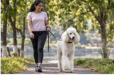 Illustration of people spending time with a Standard Poodle at home or outdoors